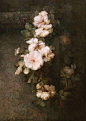 〖  Margaretha Roosenboom · 静物花卉…  〗 ​ ​​​​