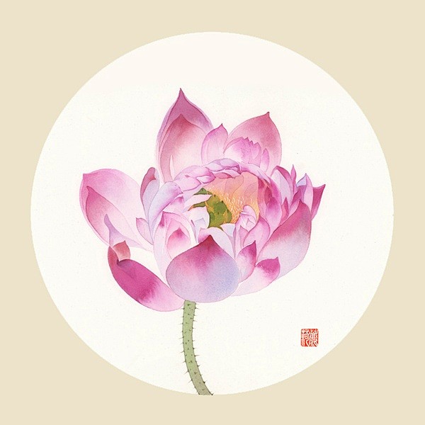 【知名水彩插画家鹿菏的作品】