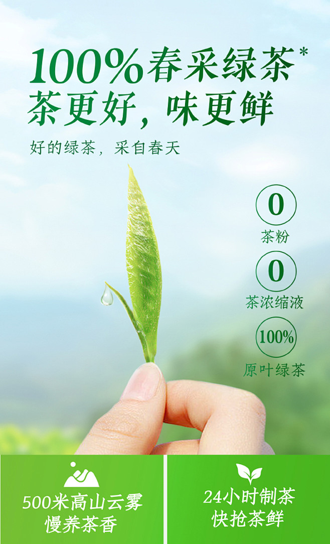 春茶100%春采绿茶原味茶饮料低糖低卡鲜...