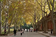 Lab D+H SH 新作｜郑州二砂厂景观改造，一次包豪斯工业遗迹的保留与重塑   Lab D+H SH 新作｜郑州二砂厂景观改￿5569876085