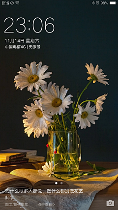 vivioncb采集到花卉