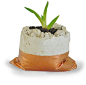 concrete planter