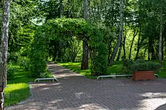 在春天的大城市中心公园的风景。在自然光的氛围中