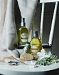 欧舒丹 L'OCCITANE en Provence