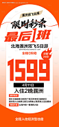 编号：85080023771298113【享设计】源文件下载-旅游特价海报