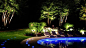 modern lighting design for outdoor living spaces and yard landscaping