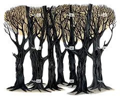 森林树木黑暗的森林树木黑白阴影-怪异的黑白森林插画聚光灯