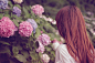 紫陽花（あじさい）を眺める女の子のフリー写真素材（商用可）