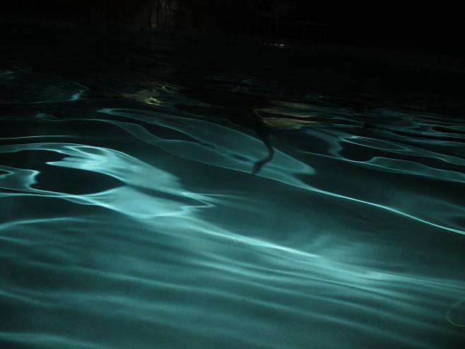 a person swimming in...