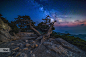 Photograph Tree of Life by Stergos Skulukas on 500px