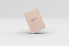 阿lili果果采集到包装物料作品集合