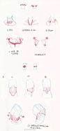 不会画人体躯干？你应该换种方法来学画