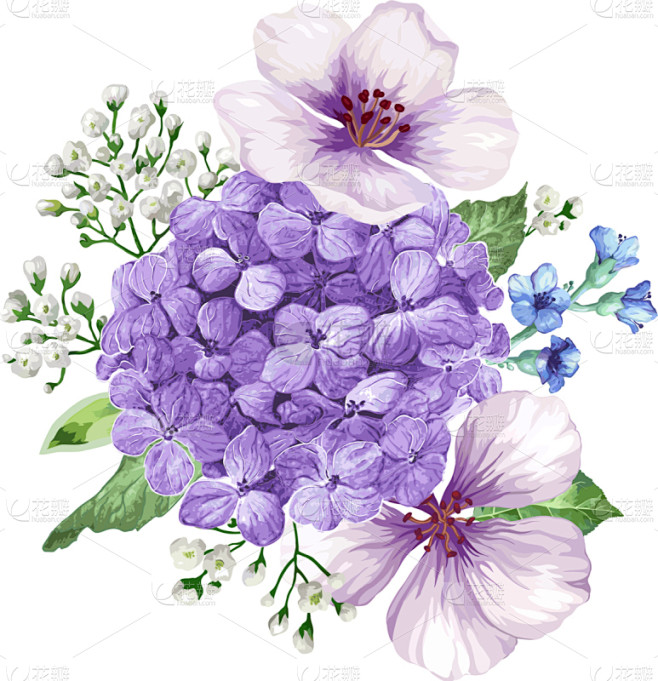水香花菜,花束,苹果树,请柬,植物群,婚...