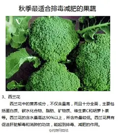 #绿色减肥果蔬# 【秋季最适合排毒减肥的果蔬！】秋天是身体排毒、减脂的最好时机，如果体内的毒素不及时排除，那就会囤积在体内，这样就会使小腹凸起，产生脂肪，脸上还会冒痘痘。小编推荐秋季最适合排毒减肥的9大 “吸脂肪” 果蔬：