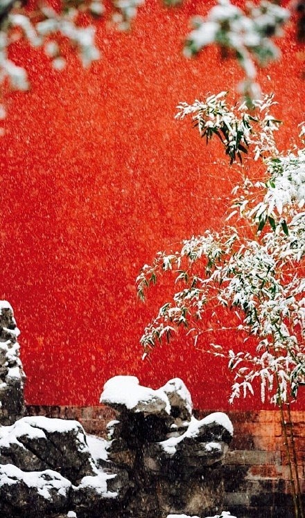 北京下雪了~每次北京下雪就想起故宫的雪景...