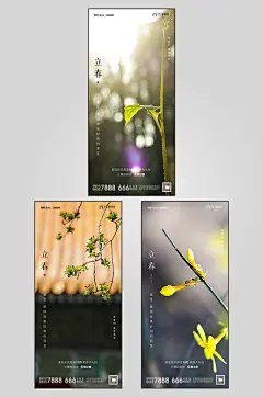 景色地产立春春季节气微信H5