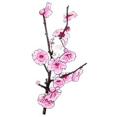 中国风梅花腊梅桃花樱花插画PNG素材