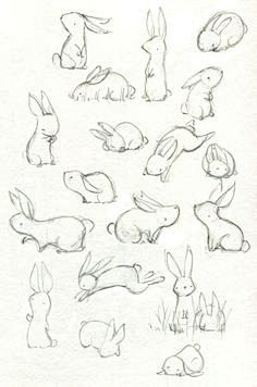 Cute rabbits http://...
