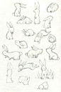 Cute rabbits http://eloisedraws.tumblr.com/post/57839314122 ★ || CHARACTER DESIGN REFERENCES |