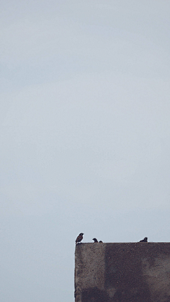 ·●．清醒纪●·．采集到文艺风象