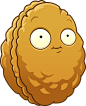 Plants vs Zombies 2 Wallnut The Wallnut