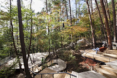 蝴蝶小猫采集到山体公园