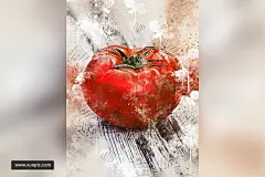 时尚个性高端的手绘中国风水墨风格watercolor-2-photoshop-action 插件/软件 