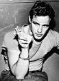 马龙·白兰度 Marlon Brando 图片