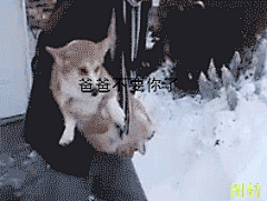 【资源】求助，请问大家有没有爸爸不要你了表情包_表情包吧_百度贴吧