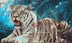 \East of Eden- Zella Day