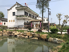 多闻草木少识人采集到驳岸