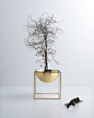 by lassen Launches its Kubus and Line series in Brass - NordicDesign