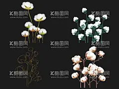 棉花  - 源文件下载【酷图网】棉花,手绘棉花,棉花插画,棉花树,手绘棉花树,棉花素材,棉花元素