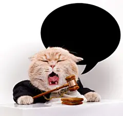 点击来源直接获取大图文件 | Screaming cat with judicial gavel.