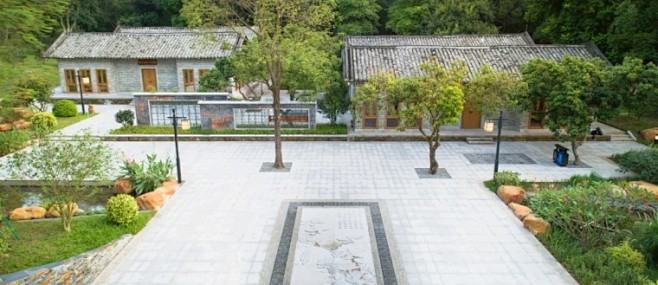 广州增城区山茶属植物主题公园实景图1.j...