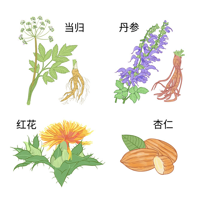 当归/丹参/红花/杏仁