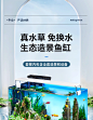 鱼缸水族箱客厅小型迷你桌面免换水生态造景小金鱼缸热弯超白玻璃-淘宝网