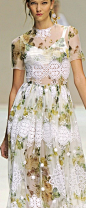 A lace dress from @Jenn L Souza & Gabbana
