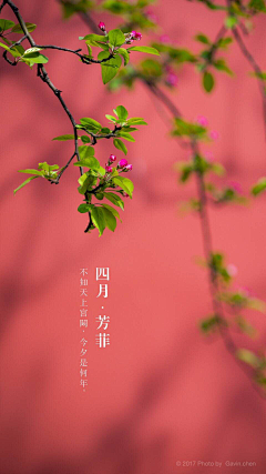 爱心永恒999采集到花