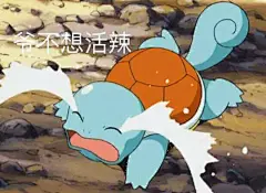 整点土豆的相册-杰尼龟天线宝宝表情包