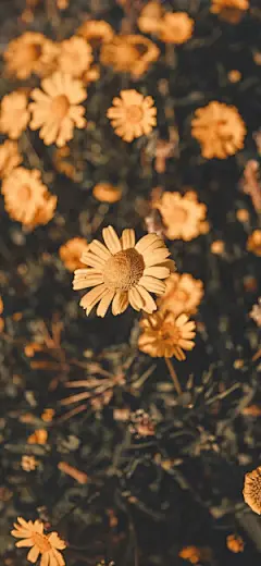 动漫-热门 - 堆糖，美图壁纸兴趣社区