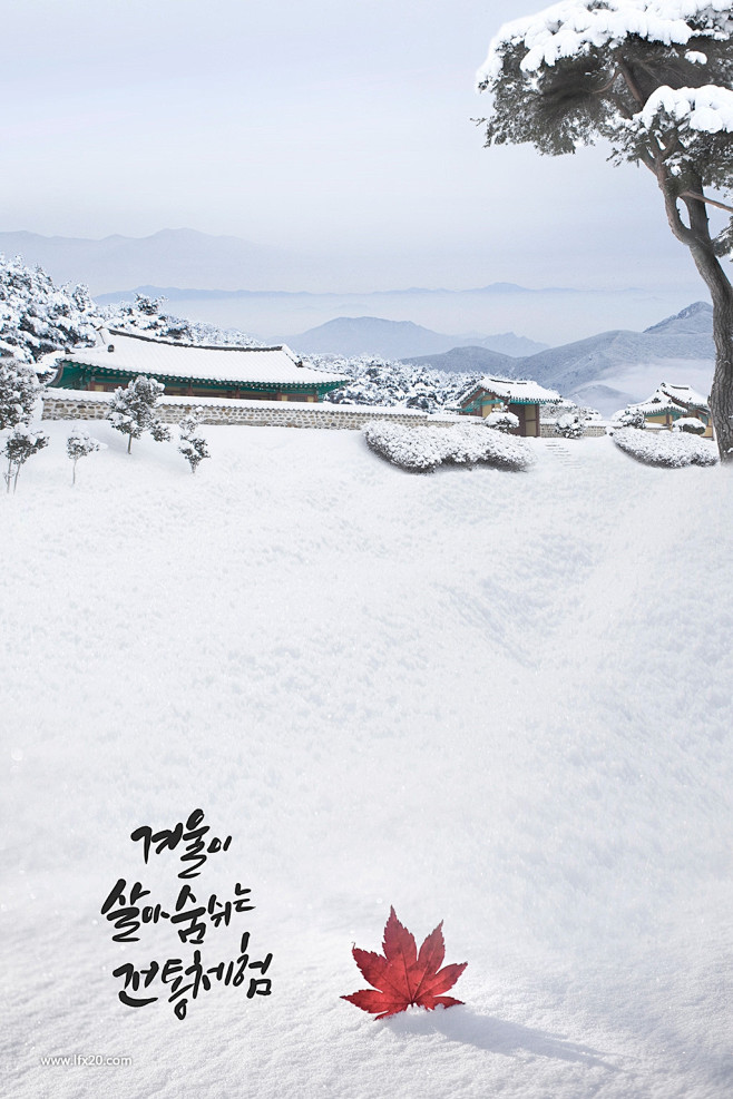 冬季铁轨火车红酒香槟雪花雪景古城枫叶海报