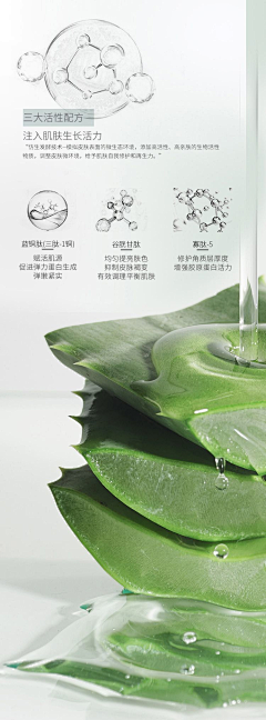 ·向北采集到成分