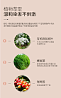 台湾舒妃sofei染发剂自己在家染发纯植物天然星空紫显白染发膏女-tmall.hk天猫国际