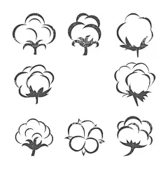 纯棉图标  - 源文件下载【酷图网】棉花,纯棉,纯棉图标,手绘棉花,棉花插画,棉花树,手绘棉花树,棉花素材,棉花元素