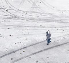 凉木采集到冬日恋雪