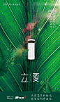 立夏