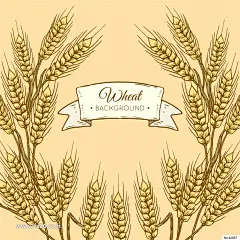 金秋水稻麦田风景插画EPS矢量素材_VIP素材_乐分享素材网_psd素材_平面素材_png素材_免费素材_ppt模板_灵感库