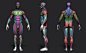 Anatomy Male Tool Reference for Artists ! , Pascal ACKERMANN : Anatomy Male Tool Reference for Artists ! 
It contain the Zbrush file with one subtool and 4 layers polypainted ! 
With that you can use and compare the :

Standard figure Anatomical 
Écorche 