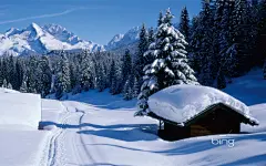 《冬季雪景》必应官方宽屏壁纸桌面壁纸1